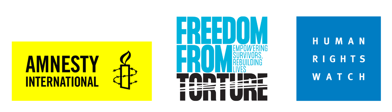 Logos for Amnesty International, Freedom from Torture, and Human Rights Watch