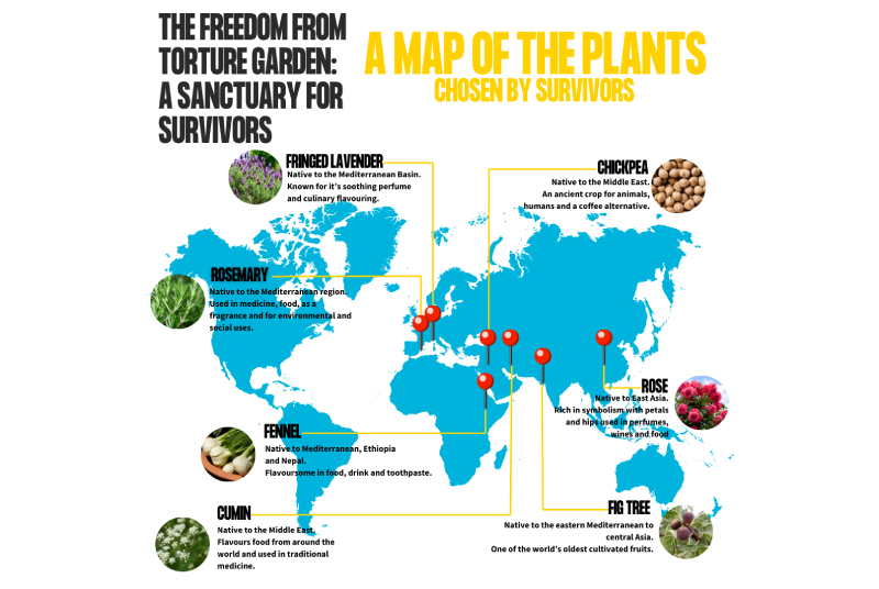 A map showing some of the plants used in our garden and where they're located globally