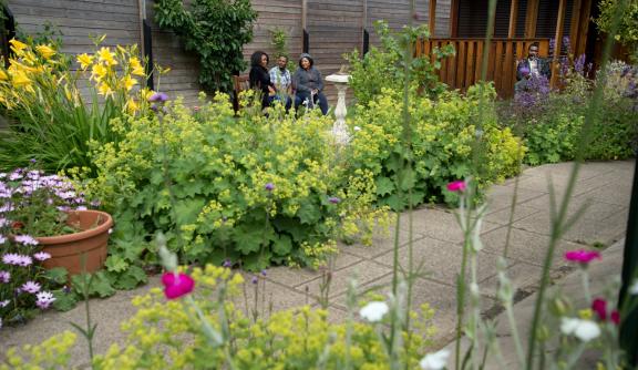 Freedom from Torture clients in the London centre garden